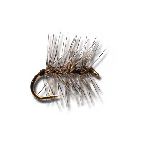 Dries Asher Black $2.34