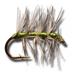 Dries Asher Olive $2.34