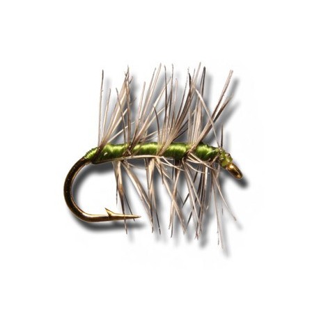 Dries Asher Olive $2.34