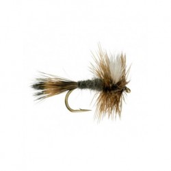Dries adams wulff $2.34