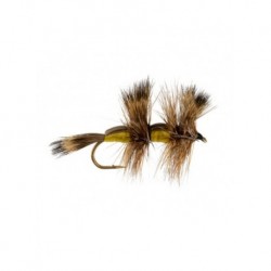 Dries double humpy yellow $2.34
