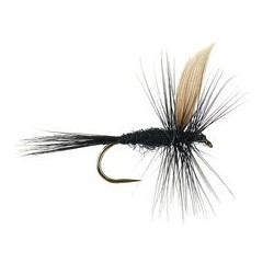 Barbless Flies Black Gnat BL $2.34