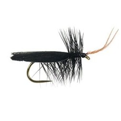 Barbless Flies Black Horned Roofing BL $2.34