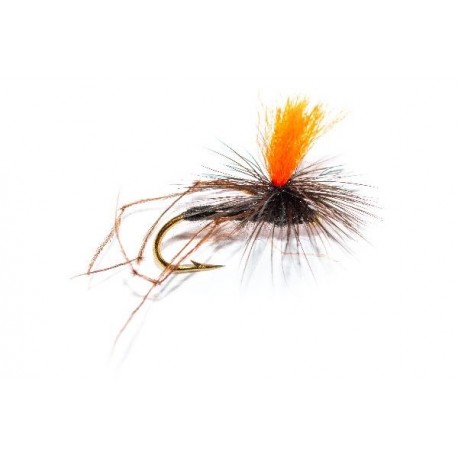 Special Dries Black Parachute Daddy Orange Hot Spot $2.34