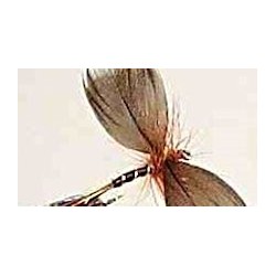 Special Dries brown drake $2.34