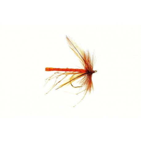 Special Dries Dad's Daddy Orange Fluorescent $2.34