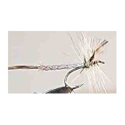 Special Dries detached body $2.34