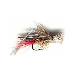 Special Dries grau hopper $2.34