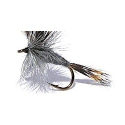 Special Dries gray wulff $2.34