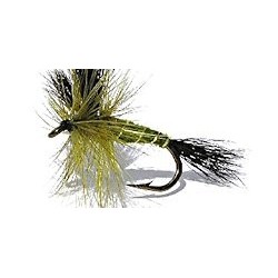 Special Dries green wulff $2.34