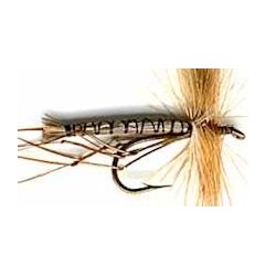 Special Dries light brown daddys $2.34