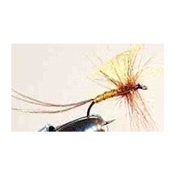 Special Dries light cahill spinner $2.34