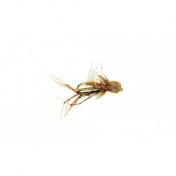 Special Dries Muddled Daddy Longlegs $2.34