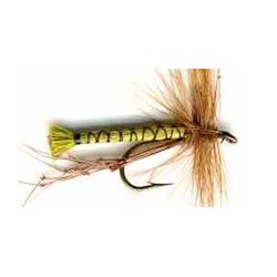 Special Dries olive daddy $2.34