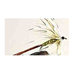 Special Dries olive french $2.34