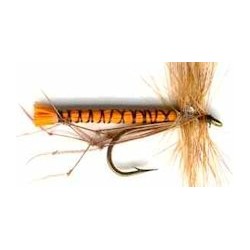 Special Dries orange daddys $2.34