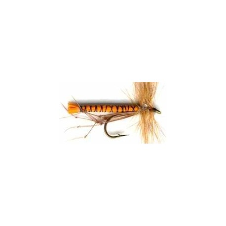 Special Dries orange daddys $2.34