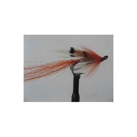 Salmon Doubles allys shrimp silver double $6.80