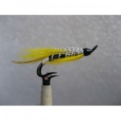 Salmon Doubles black and yellow tosh double $6.80