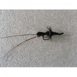 Salmon Doubles black francis double $6.80