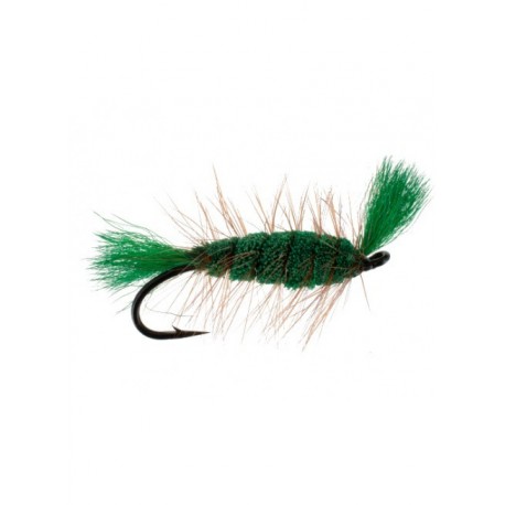 Salmon Singles bomber green $6.80