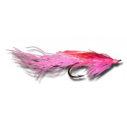 Salmon Singles General Practitioner Pink $6.80