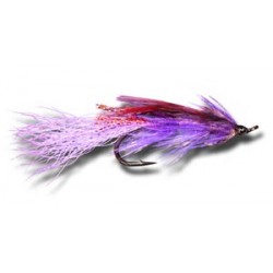 Salmon Singles General Practitioner Purple $6.80