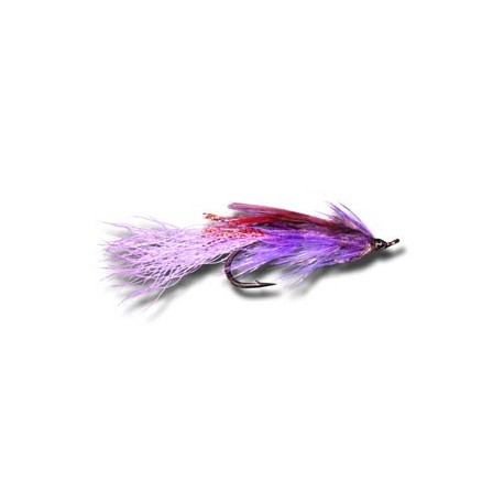 Salmon Singles General Practitioner Purple $6.80