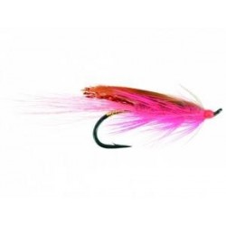 Salmon Singles General Practitioner Purple $6.80