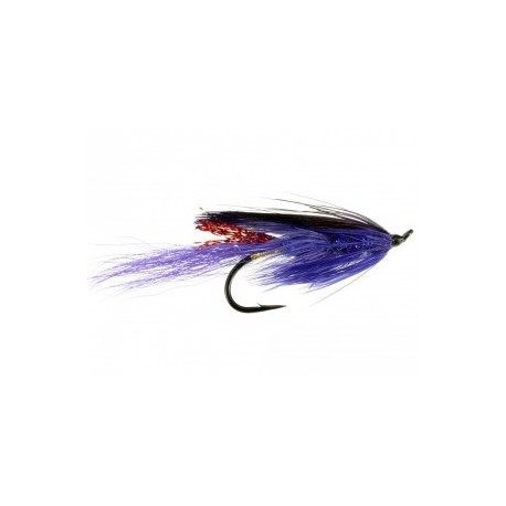 Salmon Singles general practioner $6.80