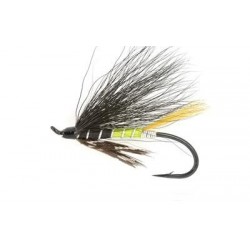 Salmon Singles jack scott $6.80