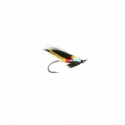 Salmon Singles Night hawk single $6.80