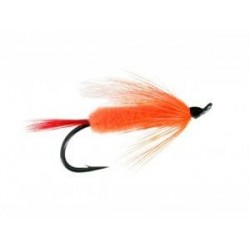 Salmon Singles polar shrimp $6.80