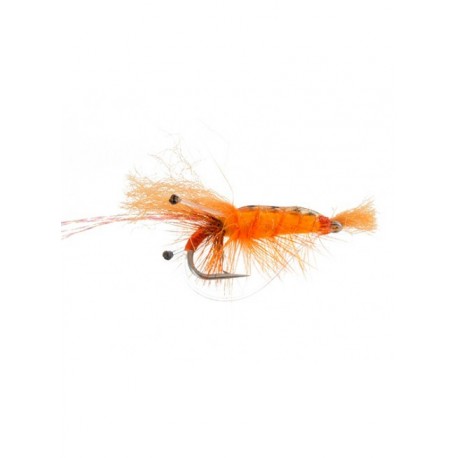 Bonefish Saltwaters bonefish ceviche shrimp orange $6.80