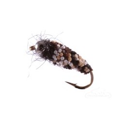Beaded Nymphs Caddis Rock Roller Bead Head $2.42