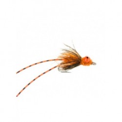 Pike carp crack orange carp $6.80