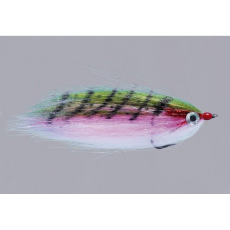 Pike RAINYS WARMWATER BAITFISH $6.80