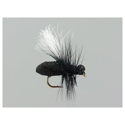 Terrestrials Black Ant Hf $2.99