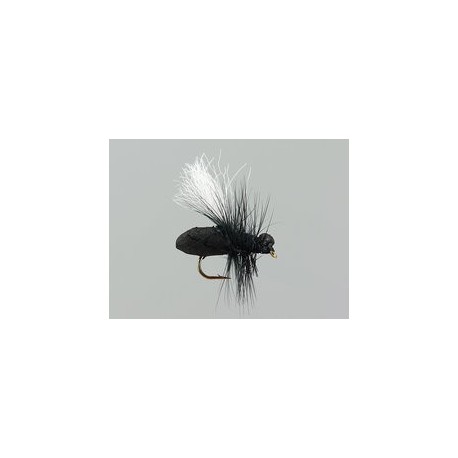 Terrestrials Black Ant Hf $2.99
