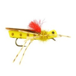 Terrestrials Chewbakka Hopper  Yellow $2.99