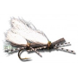 Terrestrials Chubby Chernobyl Black Black $2.99