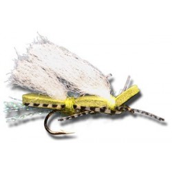 Terrestrials Chubby Chernobyl Olive Olive $2.99