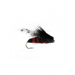 Terrestrials cicada black orange $2.99