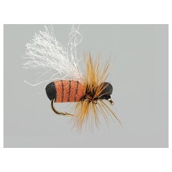 Terrestrials Cinnamon Ant Hf $2.99