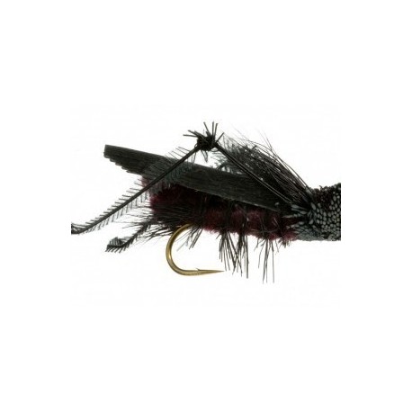 Terrestrials Cricket (Black) $2.99