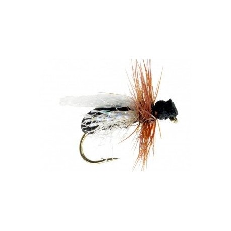 Terrestrials Flying Loco Beetle $2.99