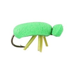 Terrestrials Green Beetle $2.99