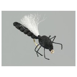 Terrestrials Hawthorn $2.99