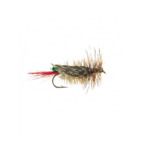 Terrestrials hopper joe s green $2.99