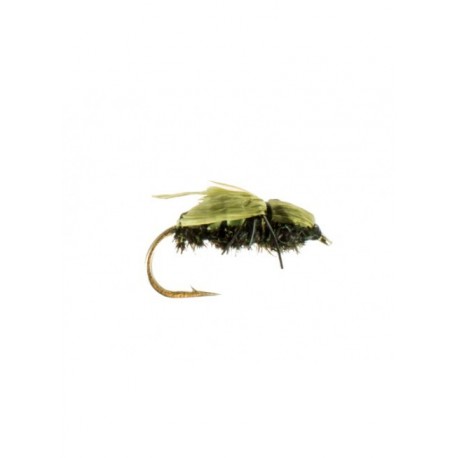 Terrestrials house fly $2.99